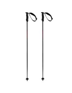 RENTASTICK CARBON POLES colour coded